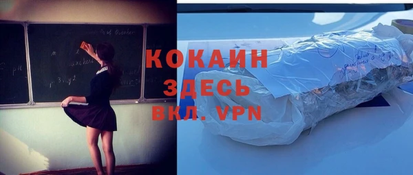 гашик Пересвет