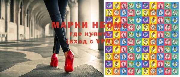 гашик Пересвет