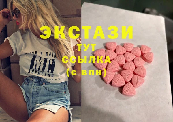 гашик Пересвет