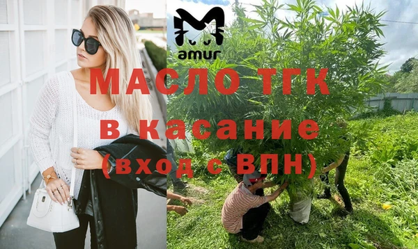 гашик Пересвет
