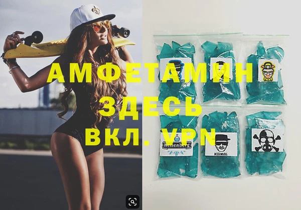 гашик Пересвет