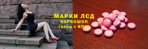 гашик Пересвет