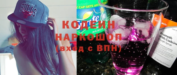 гашик Пересвет