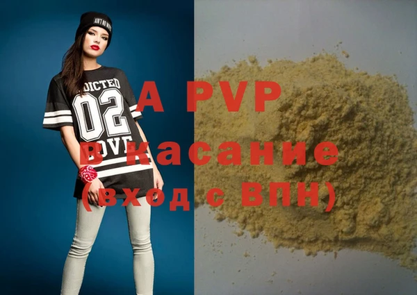 гашик Пересвет