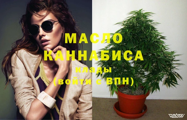 гашик Пересвет